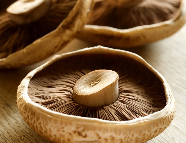 Photo: freshcropmushrooms.com.au