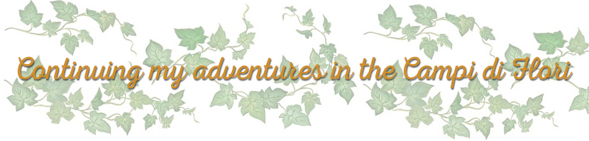 vine-banner-text